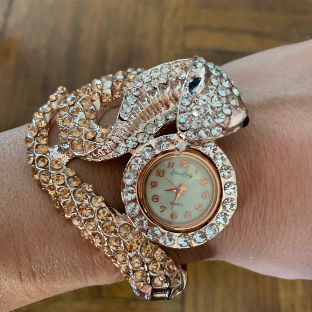 Snake watch